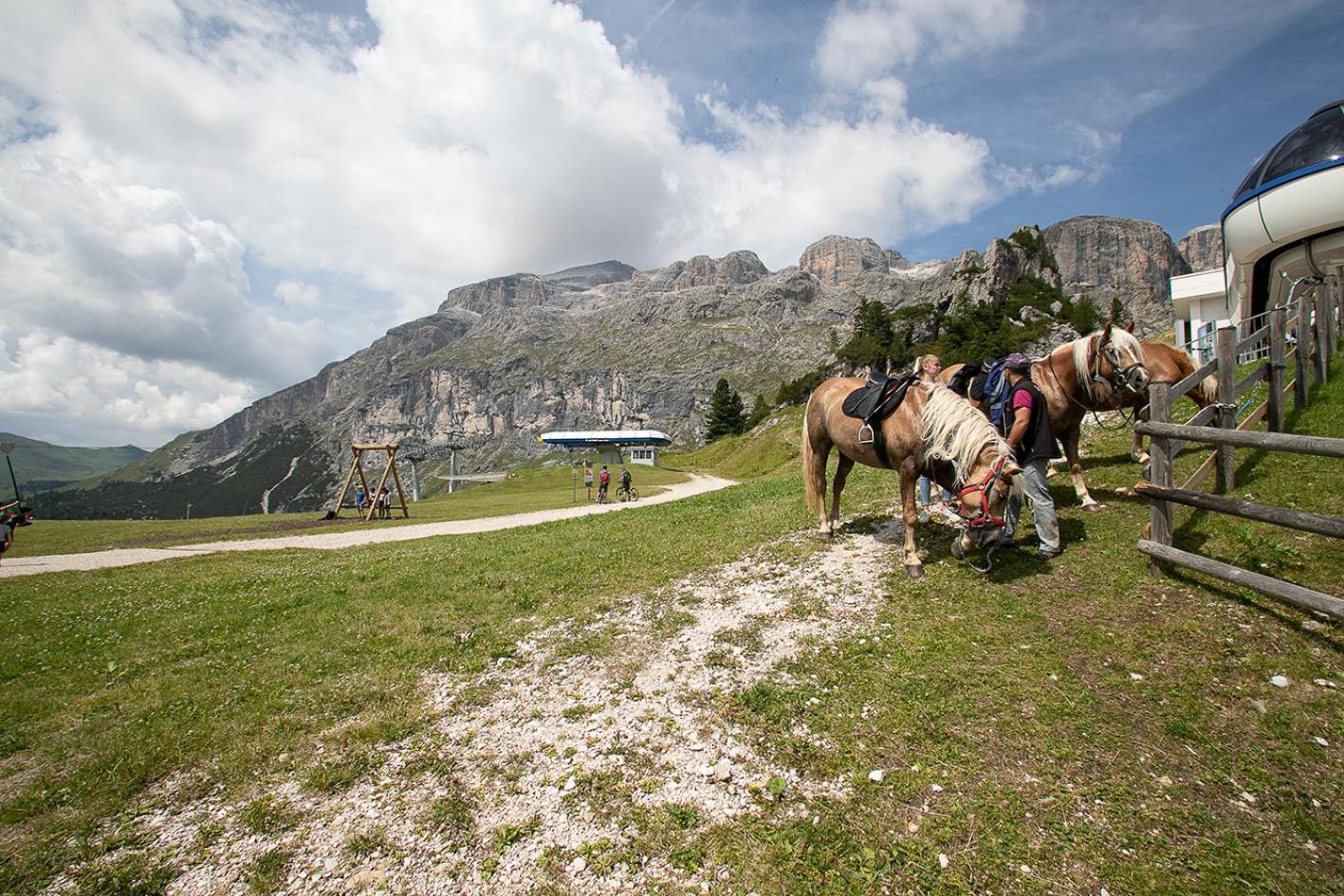 Hotel Alpenrose Арабба Экстерьер фото